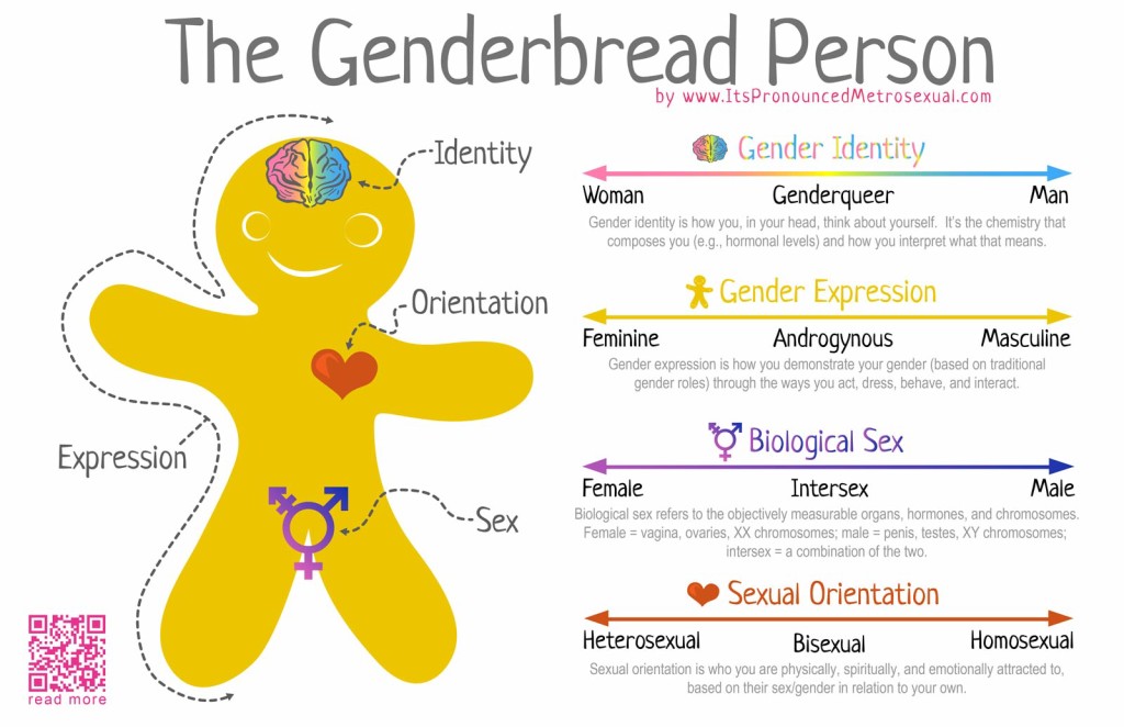 1600-Genderbread-Person